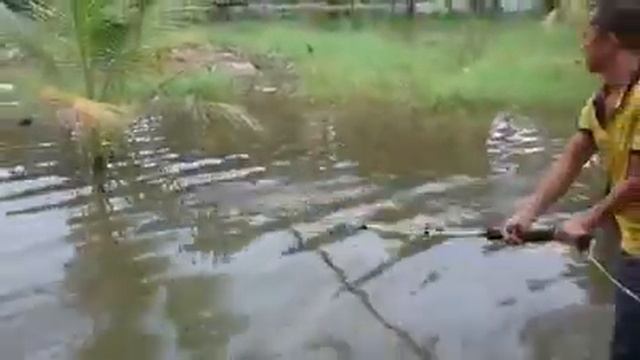 How to make electricity to catch fish смотреть онлайн