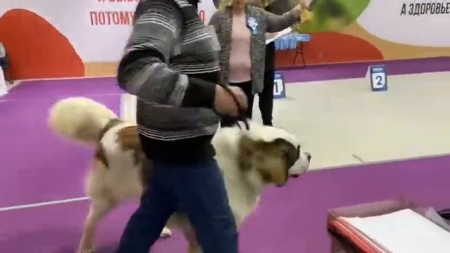 10 января 2022 г. смотреть онлайн