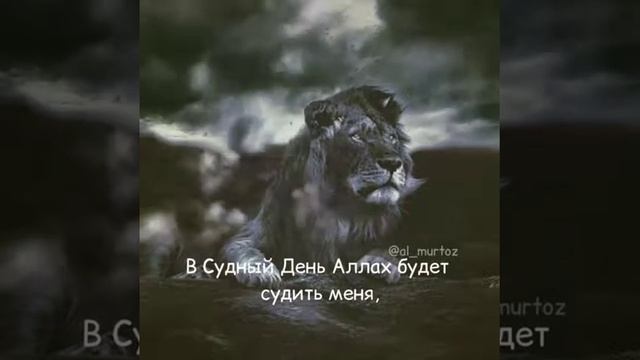 Бойся Аллаха смотреть онлайн