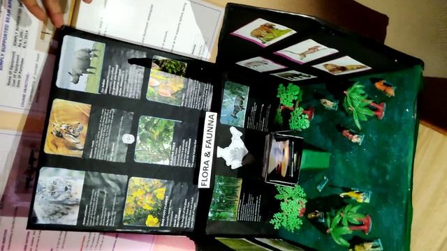 Project on Flora and fauna(wildlife) смотреть онлайн