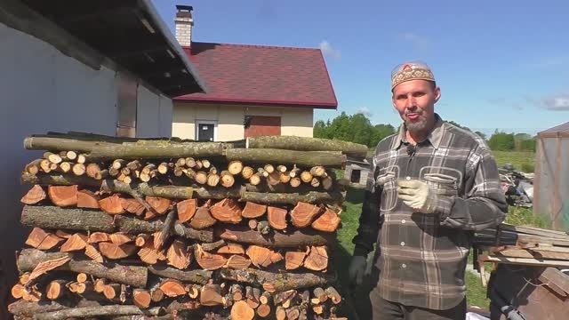 Дрова за 10 минут и новые саженцы смотреть онлайн