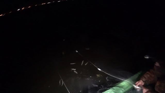 рыбалка сетями. Ряпушка. Вечерняя тряска Вот это попало!!! смотреть онлайн