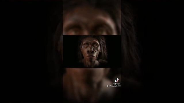 Human evolution смотреть онлайн