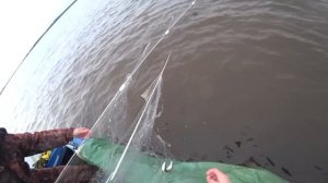 РЫБАЛКА СЕТЯМИ. Ряпушка. Утренняя тряска. + 2 бонуса, + рецепт засолки