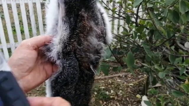 Нож марс ПП Кизляр смотреть онлайн