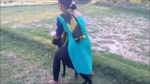 goat riding _ riding goat _ ride goat ❤️♥️