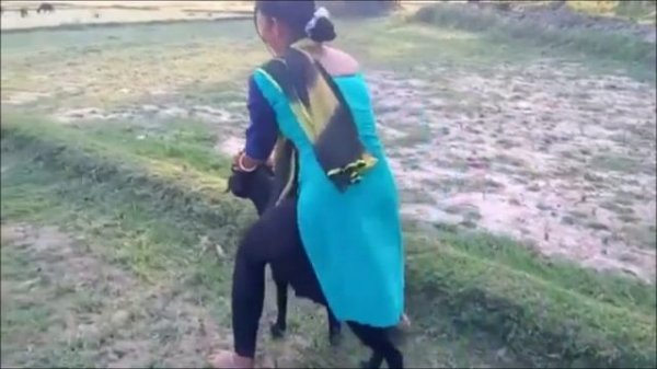 goat riding _ riding goat _ ride goat ❤️♥️