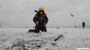 корюшка на финском заливе , северная дамба 250 штук , зимняя рыбалка , удачная рыбалка