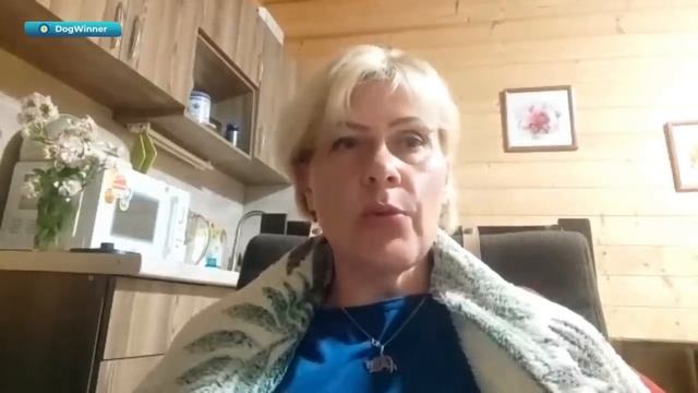 У СОБАКИ СТРАХ ОСТАВАТЬСЯ ДОМА. КАК ПОМОЧЬ смотреть онлайн