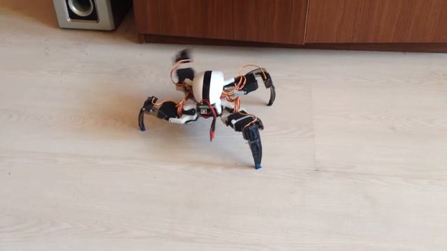 Четырехногий