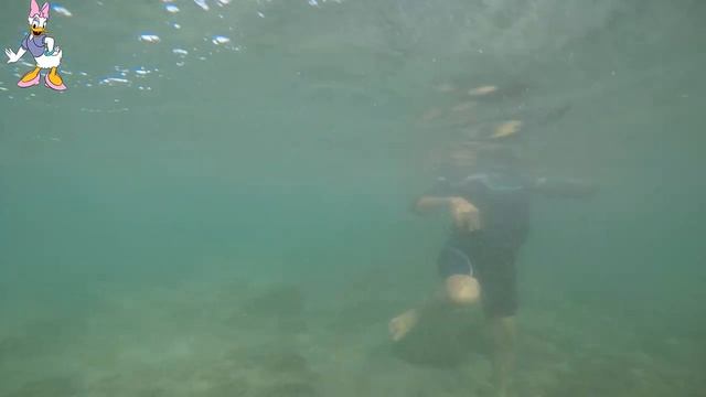 Snorkeling In Snoopy Island (Fujairah-UAE)