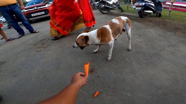 সেইকাৰণে মই Online Order নকৰো 😡 #amazon #duliajan #motovlog смотреть онлайн