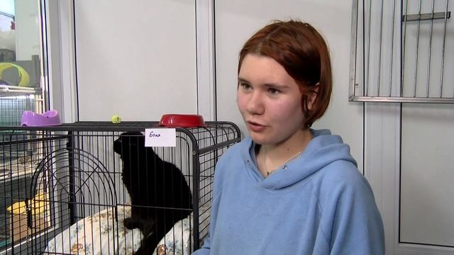 Приют "Муррдом" выиграл грант смотреть онлайн