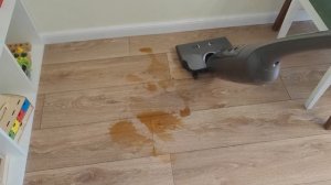 Самый стильный Моющий Вертикальный Пылесос - Wollmer D800 Asteroid