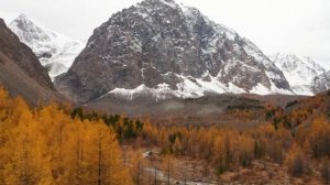 ИСЦЕЛЯЮЩАЯ МЕДИТАЦИЯ В ПОТОКЕ ТВОРЦА (Декабрь 2024) − Елена Каткова