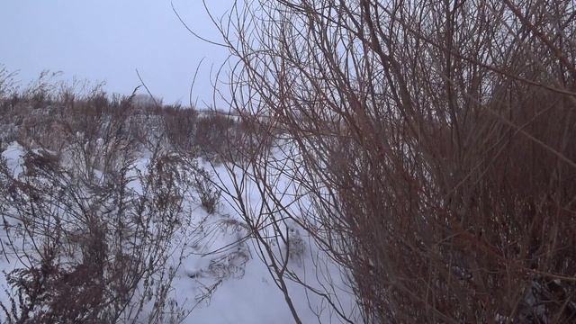 Охота на зайца - Хоть какая, да еда! смотреть онлайн