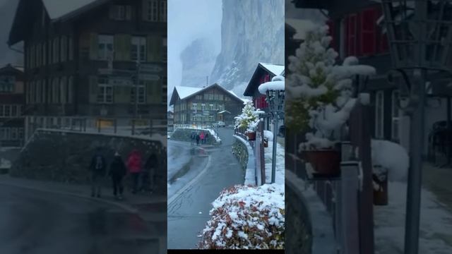 #shorts смотреть онлайн