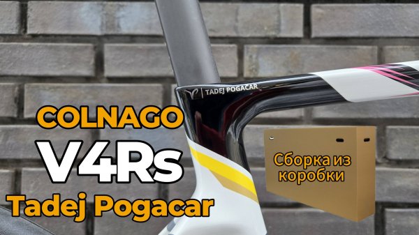 Colnago V4Rs Tadej Pogacar Limited Edition
