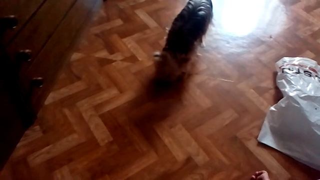 Боря друг человека.