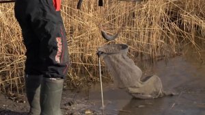 Не рыбалка а сказка! Наловили карасей на фидер