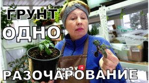 Грунт Агробалт очень разочаровал. Буду дальше пробовать