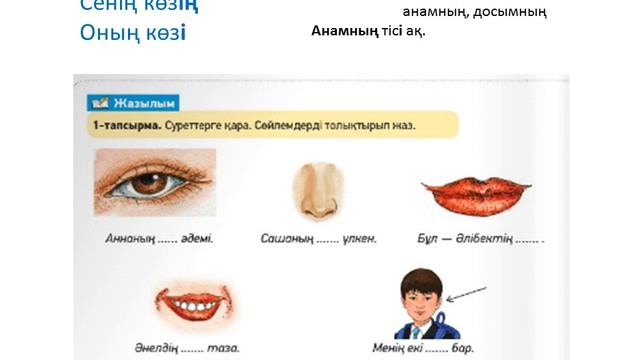 Дене мүшелері смотреть онлайн