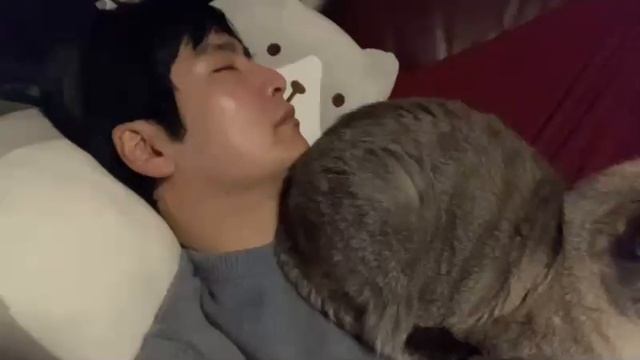 2024年12月21日 紅白歌枠合戦参加者アワードシール許可どり作成放送(Lv346579615) 大仏 смотреть онлайн