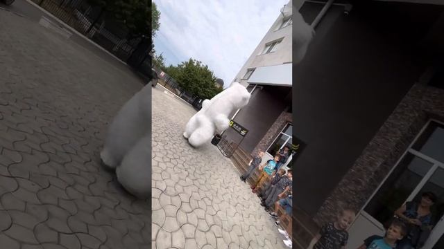 Surpriză cu Ursul Alb Gigant, pentru Maximus, din partea mamei și fratelui! +373 60378001 смотреть онлайн