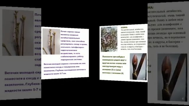 почки смотреть онлайн