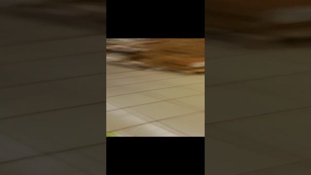 приключения баги и егра ( 7 серия ) в магазине смотреть онлайн