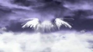 Футаж-Крылья