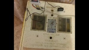 Закладка яиц в инкубатор Коко 20.01.22г