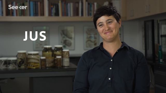 This Scientist Is Racing Extinction To Discover New Species of Arachnids смотреть онлайн