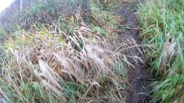 отчет 26 10 2019.РАСПАКОВКА НА РЫБАЛКЕ.ЩУКА.ТВИЧИНГ. BEARKING РЕРЕНЖ ЛОВИТ. стрелецкий ручей. смотреть онлайн