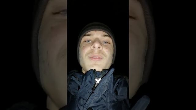 Прогулка Night Forest изучаем место смотреть онлайн