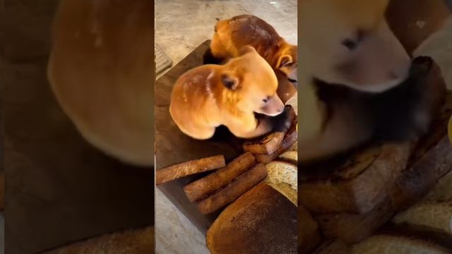 #еда смотреть онлайн