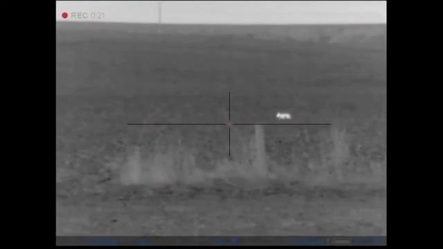 Pulsar Thermion xm30 This girl come from behind us !! смотреть онлайн