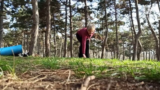 Моя собака - мой тренер смотреть онлайн