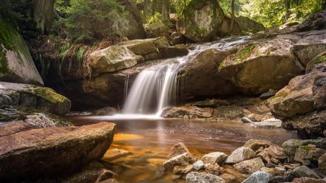 Asher Fulero - Confliction & Catharsis смотреть онлайн