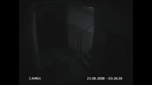 Странное и загадочное существо в подъезде бъет лампочки