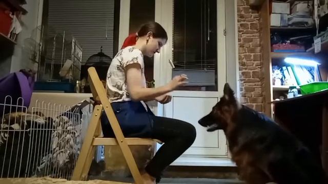 Аккуратно брать еду смотреть онлайн