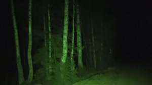 Дима Масленников и Клава Кока на ЗАБРОШКЕ! / Эксклюзив TG-канала  #2