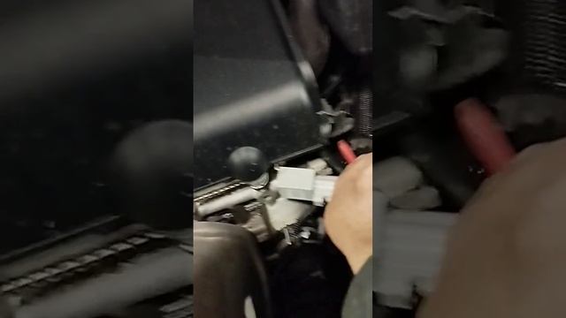 Проверка нагревателя датчика кислорода смотреть онлайн