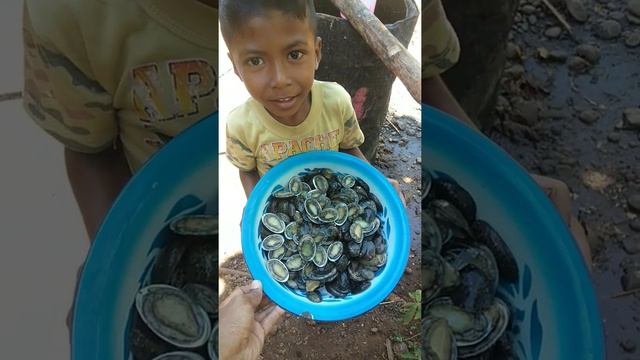 BERBURU KERANG ABALONE смотреть онлайн