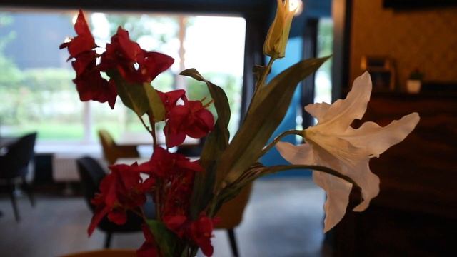 Maison de repos et Résidences-Services Les Pléiades à Woluwe-Saint-Lambert - Bruxelles смотреть онлайн