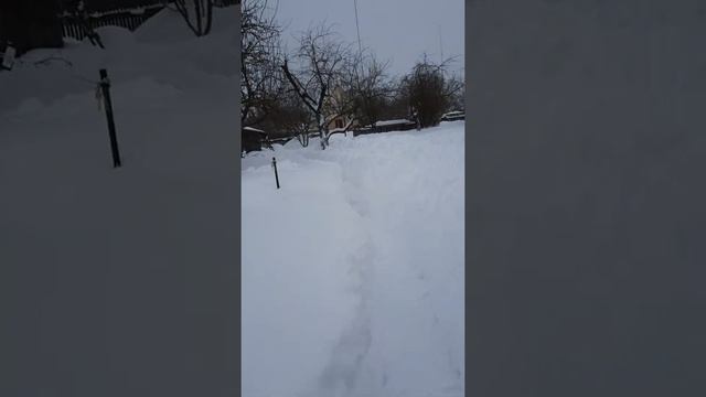 Окопы на даче смотреть онлайн