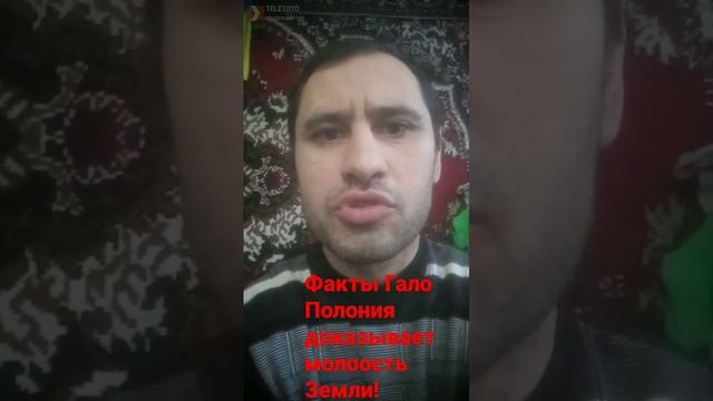 Интересные факты Гало Полония! смотреть онлайн