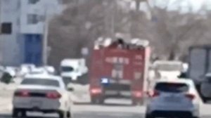 fire truck with yelp and air horn siren/ац едет на вызов с сиреной