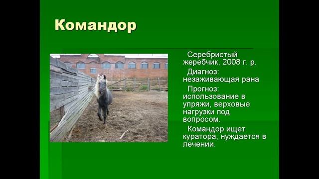 4.К Эквиросу Prof 2012 смотреть онлайн