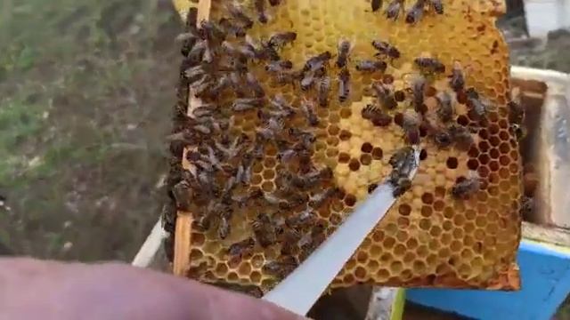Не запланированное видео смотреть онлайн